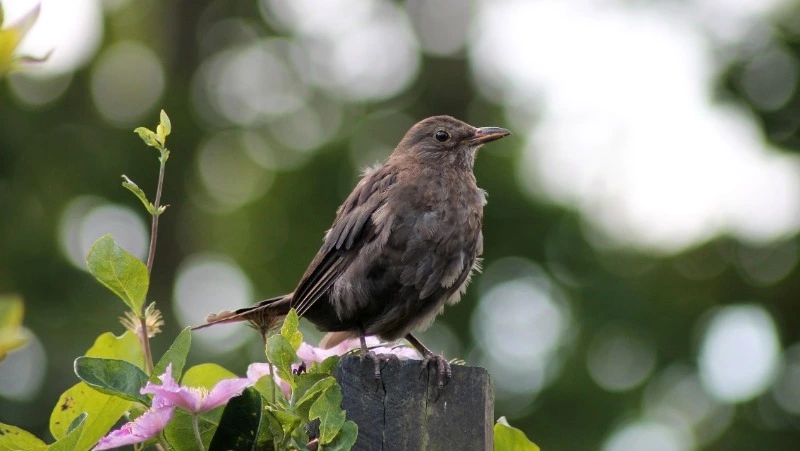 Приметы на 18 июня 2024 года: что нельзя делать в этот день