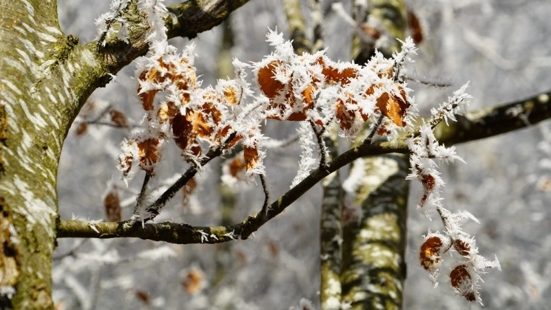 Церковный праздник 30 ноября 2023 года: что нельзя делать в этот день