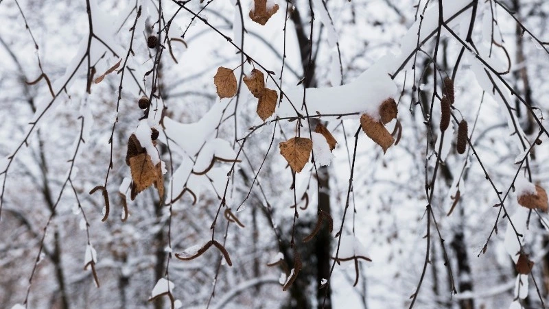 Церковный праздник 18 февраля 2024 года: что категорически нельзя делать в этот день