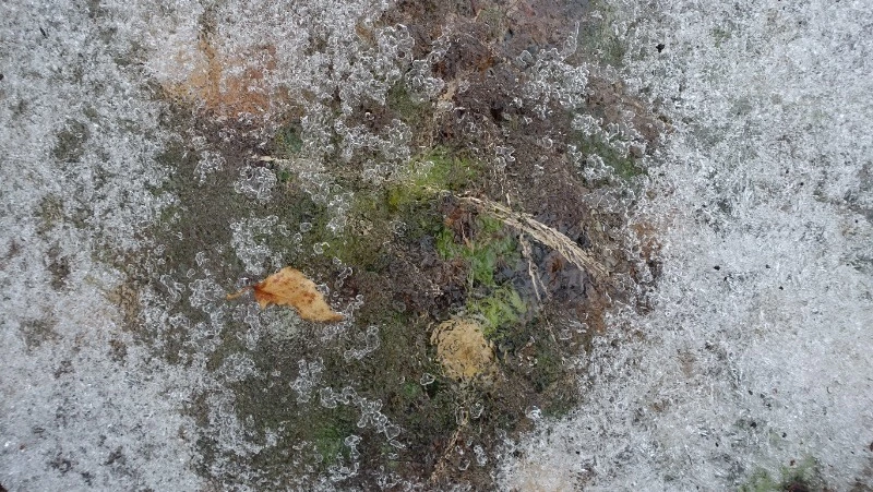 Церковный праздник 16 ноября 2023 года: что нельзя делать в этот день