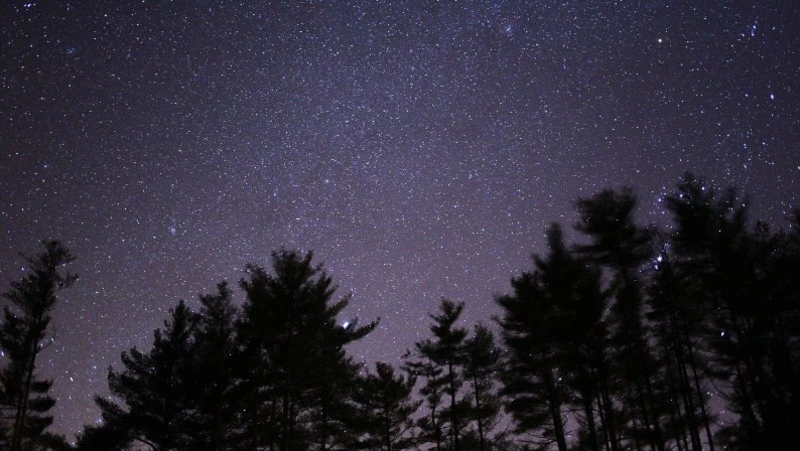 Гороскоп на 4 июня 2024 года: важные рекомендации астрологов