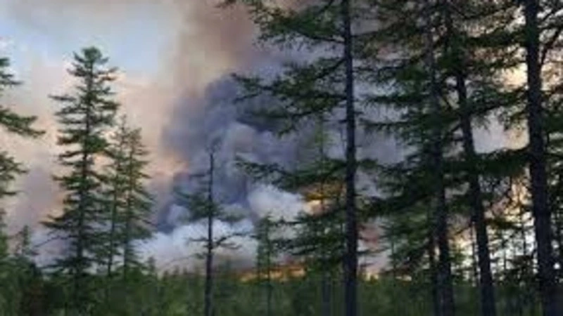 Пожароопасный период