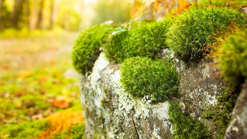 Церковный праздник 1 ноября 2023 года: что нельзя делать в этот день