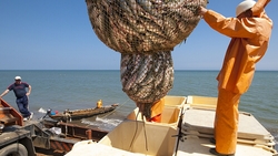 Об ассоциации рыбопромышленников Сахалина и Курил