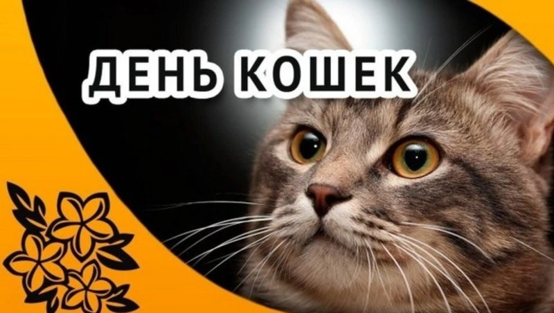 Картинки с Днем кошек 2025