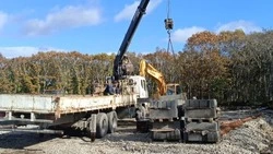 На Кунашире построят современный приют для бездомных животных