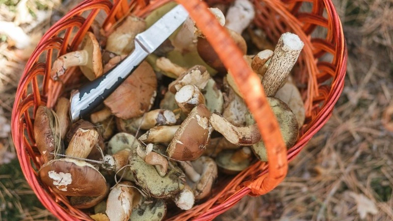 Народные приметы на 7 октября 2024: что нельзя делать в этот день