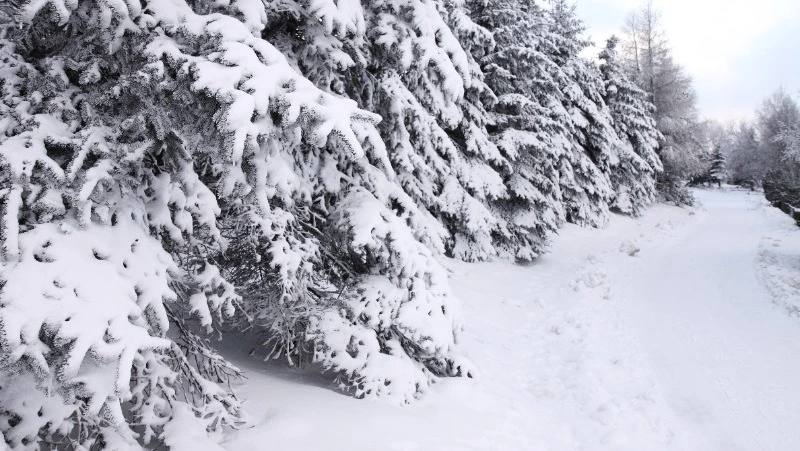 Народные приметы на 21 декабря 2023: что нельзя делать в этот день