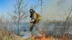 На островах стартовал пожароопасный сезон: жителям напомнили о правилах безопасности