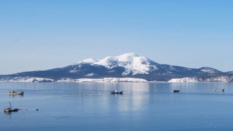 Список избирательных участков в МО «Южно-Курильский городской округ»