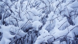 Снег и ветер с порывами до 25 м/с ожидаются в Сахалинской области 27 февраля