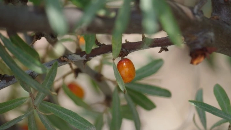 Народные приметы на 25 августа 2024: что нельзя делать в этот день