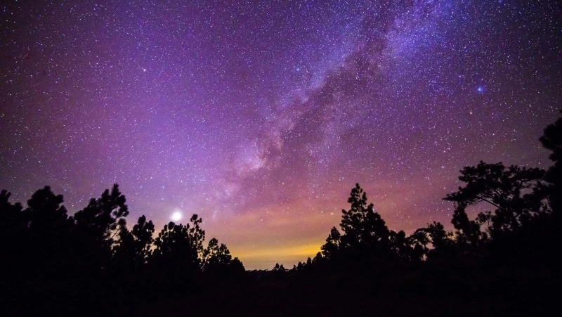 Что вас ждет 1 декабря 2024 года? Гороскоп для всех знаков зодиака