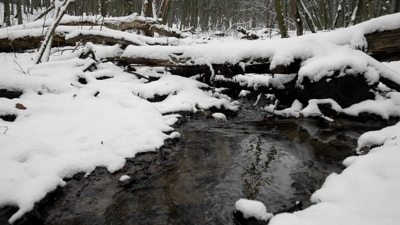 Снег и ветер с порывами до 15 м/с ожидаются в Сахалинской области 2 апреля