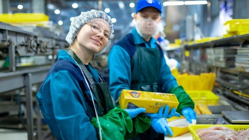 Шикотан зовет: студенты погружаются в мир рыбопереработки
