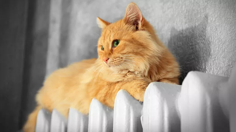 В Сахалинской области завершается подготовка к отопительному сезону