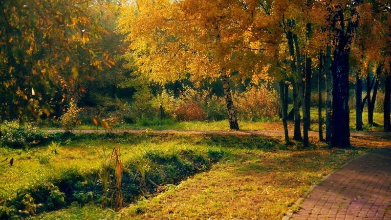 Церковный праздник 19 сентября 2023 года: что нельзя делать в этот день