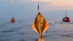 Чат-бот для помощи рыбакам запустили на Сахалине и Курилах