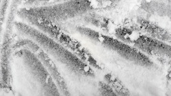 Снег и ветер с порывами до 26 м/c ожидаются в Сахалинской области 17 декабря