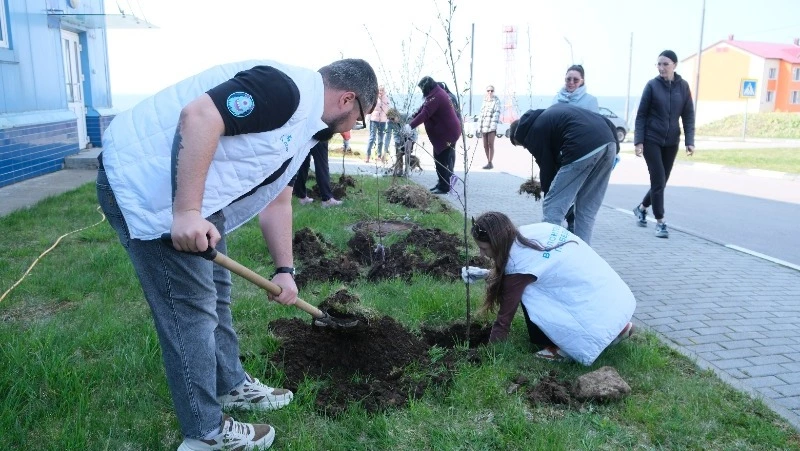 Новый «Сад памяти» появляется в Южно-Курильске