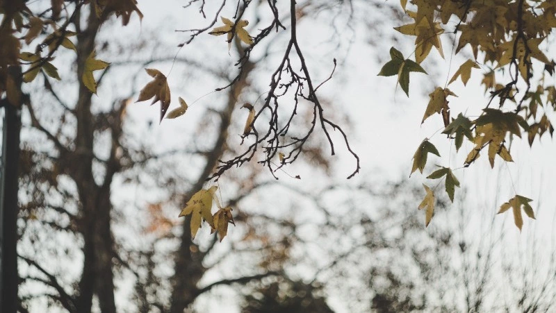 Церковный праздник 12 ноября 2023 года: что нельзя делать в этот день