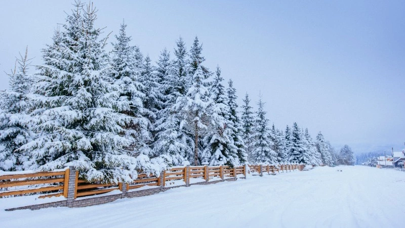 Церковный праздник 7 февраля 2024 года: что категорически нельзя делать в этот день