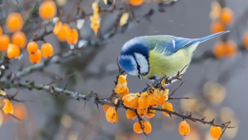 Народные приметы на 12 ноября 2024: что нельзя делать в этот день