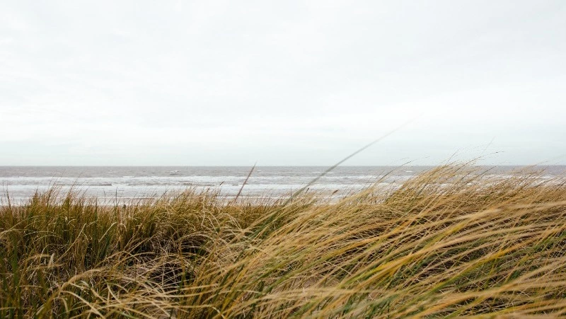 Приметы на 16 июня 2024 года: что нельзя делать в этот день