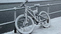 Сильный снег и метель в нескольких районах: погода на Сахалине и Курилах 28 декабря