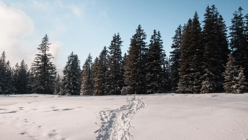 Церковный праздник 8 февраля 2024 года: что категорически нельзя делать в этот день