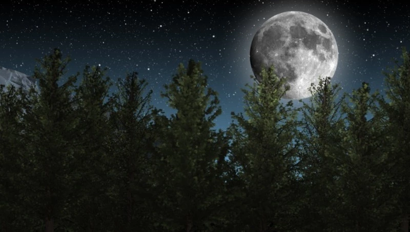 Гороскоп на 4 февраля 2024 года: важные советы астрологов