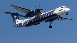 За неделю в сервис «Лист ожидания» поступило 16 заявок на авиабилеты