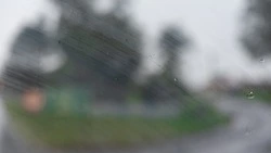 Дождь и туман ожидаются в Сахалинской области 1 августа