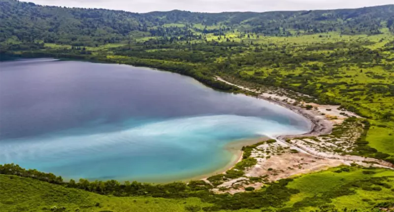 Об утверждении порядка предоставления субсидий юридическим лицам