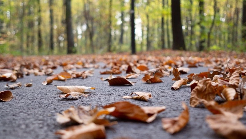 Прогноз погоды на 14 сентября 2023 года: приметы и данные синоптиков