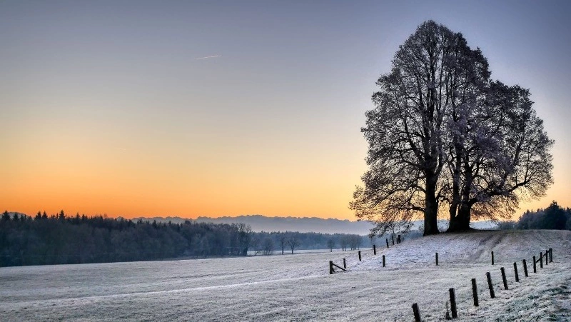 Церковный праздник 4 февраля 2024 года: что можно и нельзя делать в этот день