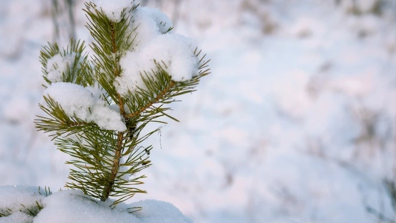 Народные приметы на 2 января: что нельзя делать в этот день