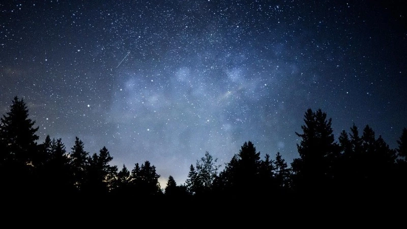 Гороскоп на 17 февраля 2025 года: энергия и новые вызовы