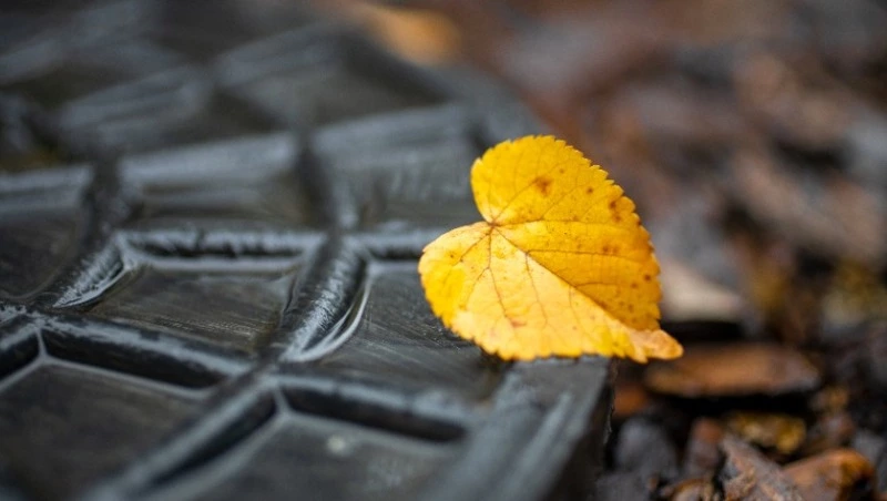 Какая погода будет в Сахалинской области 30 сентября