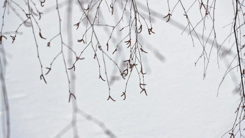 Народные приметы на 9 января 2025 года: что нельзя делать в этот день