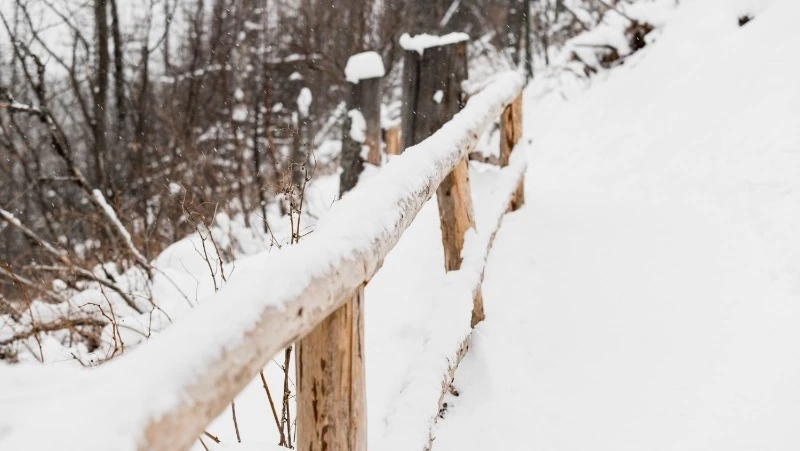 Народные приметы на 16 ноября 2024: что нельзя делать в этот день