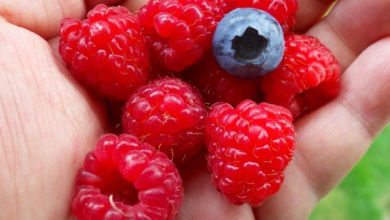 Народные приметы на 16 августа 2024: что нельзя делать в этот день