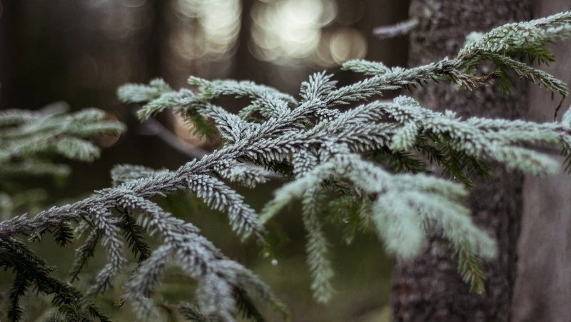 Церковный праздник 16 января 2024 года: что можно и нельзя делать в этот день