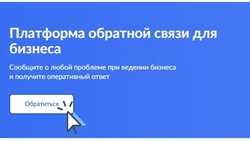 Платформа обратной связи для бизнеса (ПОС.Бизнес)
