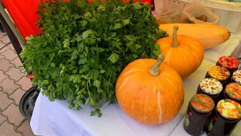 Владельцам личных подсобных хозяйств Южно-Курильского района