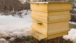 Церковный праздник 4 февраля 2025: что нельзя делать в Тимофеев день