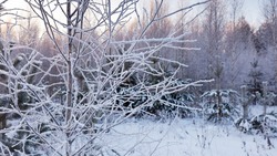 Народные приметы на 5 декабря 2024: что нельзя делать в этот день