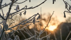 Народные приметы на 19 декабря 2024: что нельзя делать в этот день