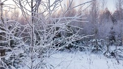 Прогноз погоды в Сахалинской области на 13 декабря: снег и 20-градусные морозы