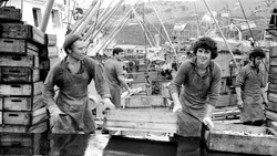 О рыбопромышленных предприятиях Южных Курил